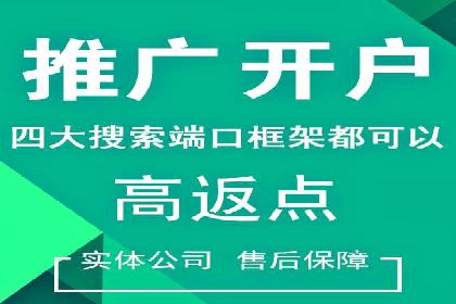 SEM代运营案例：行业领军企业实践