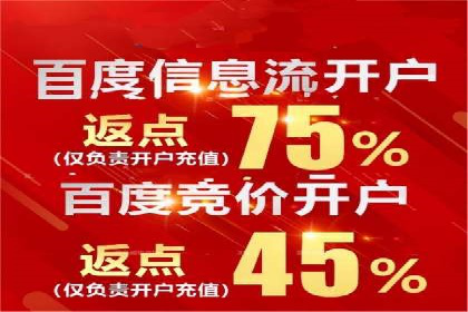 某品牌通过百度广告实现快速增长的案例